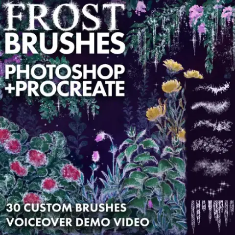 Winter Frost Brushes for Photoshop and Procreate — Procreate & Photoshop brush
