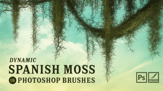 Spanish Moss Photoshop Brushes | MS Brushes — Photoshop brush