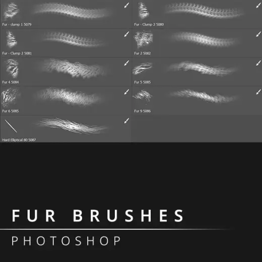 Fur brushes for Photoshop — Photoshop brush