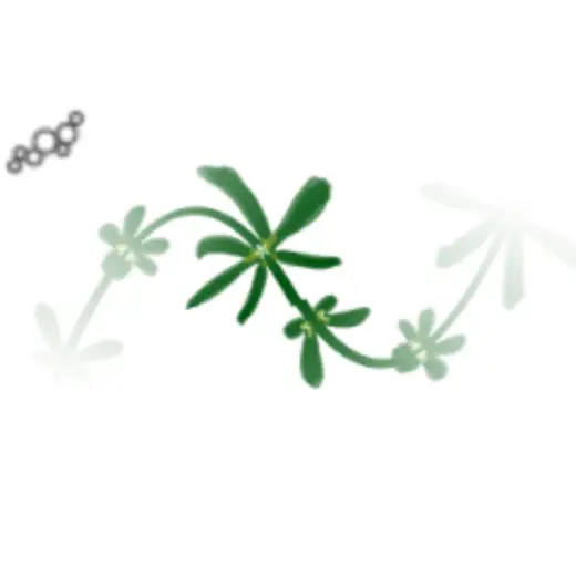 Woodruff Vine — Clip Studio Paint brush