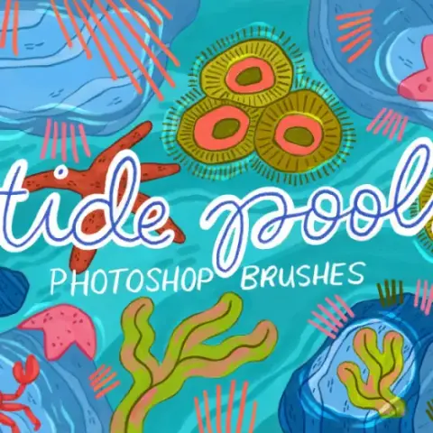 Tide Pools Brush Pack (Photoshop) — Photoshop brush