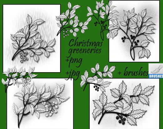 Christmas Greeneries Brushes — Procreate, Photoshop & Krita brush