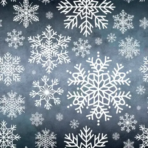 10 Snowflake Brushes — Procreate, Photoshop & Krita brush