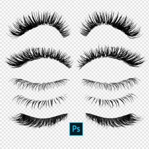 Premium Photoshop Eyelash Brushes — Photoshop brush