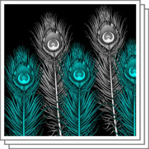Peacock Feather Brush Material Collection — Clip Studio Paint brush