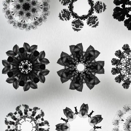 18 Nature Mandala — Procreate, Photoshop & Krita brush