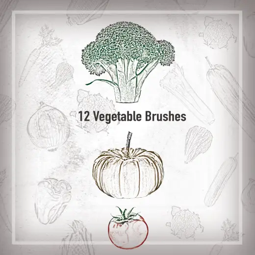 12 Vegetable Brushes — Procreate, Photoshop & Krita brush