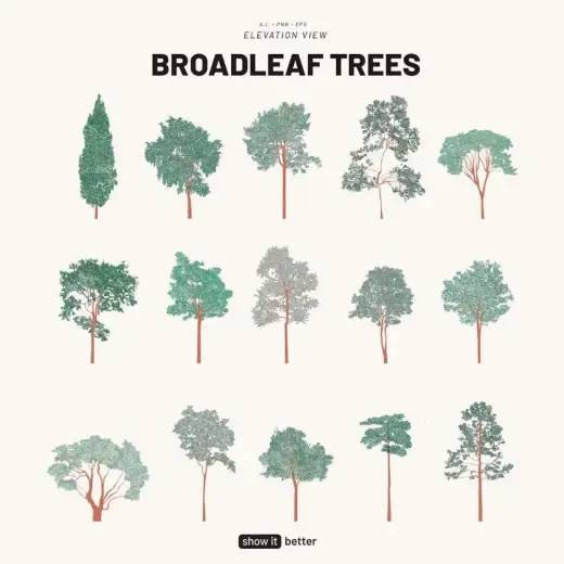 Broadleaf Trees Elevation Pack+ Brushes — Photoshop brush