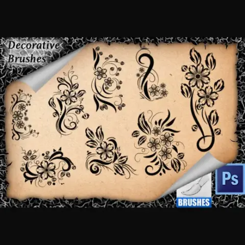 8 Flourish Decorative Brushes — Procreate, Photoshop & Krita brush