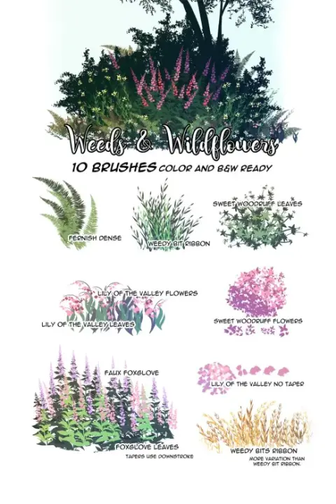 Weeds and Wildflowers Brushes for Clip Studio Paint/Manga Studio — Clip Studio Paint brush