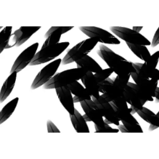 Feather brush — Clip Studio Paint brush