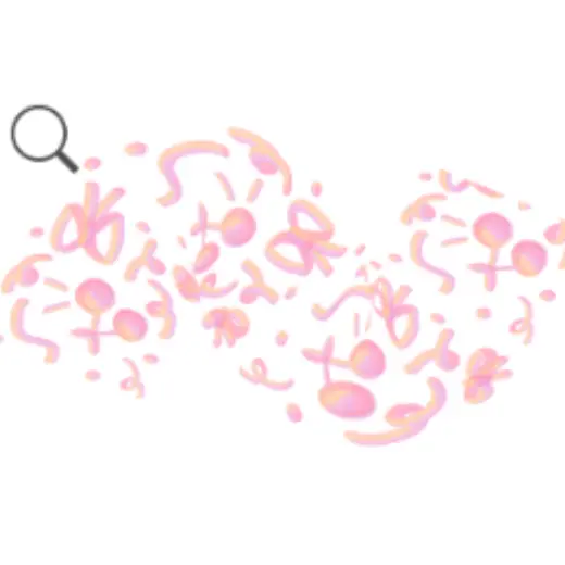 FREE cherry — Clip Studio Paint brush