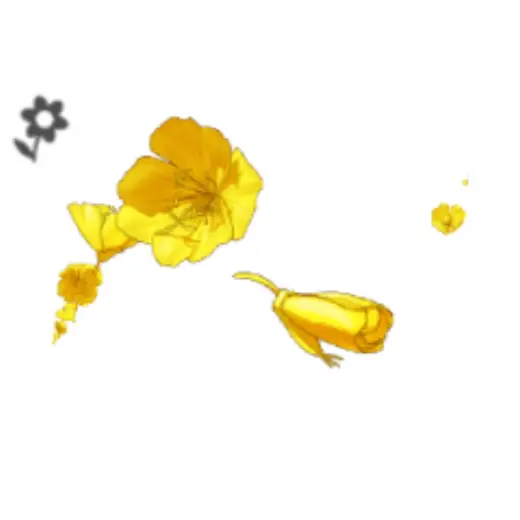 Large Evening Primrose Brush 1 — Clip Studio Paint brush