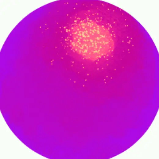 CONFETTI — Clip Studio Paint brush