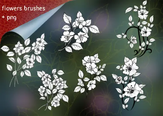 Pack of 6 Flowers Brushes — Procreate, Photoshop & Krita brush