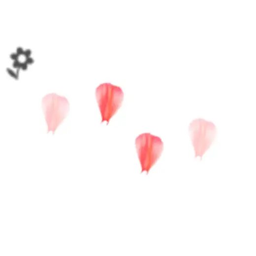 Flower Canna Petal (Brush) — Clip Studio Paint brush