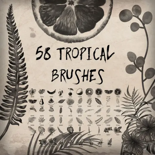 58 Tropical Brushes — Procreate, Photoshop & Krita brush