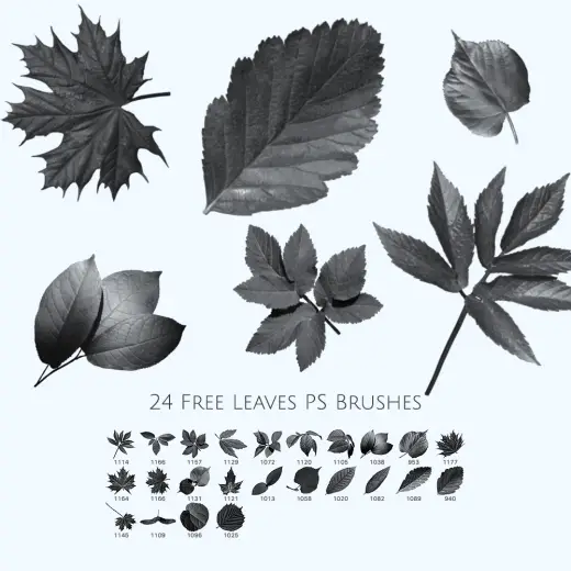 24 Free Leaves Photoshop Brushes — Procreate, Photoshop & Krita brush