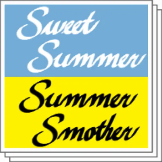 Summer cursive — Clip Studio Paint brush