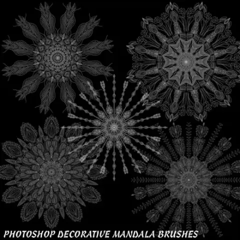 5 Mandala PS Brushes — Procreate, Photoshop & Krita brush