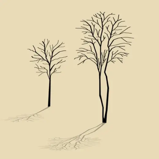 Butantã Tree Brush — Photoshop brush