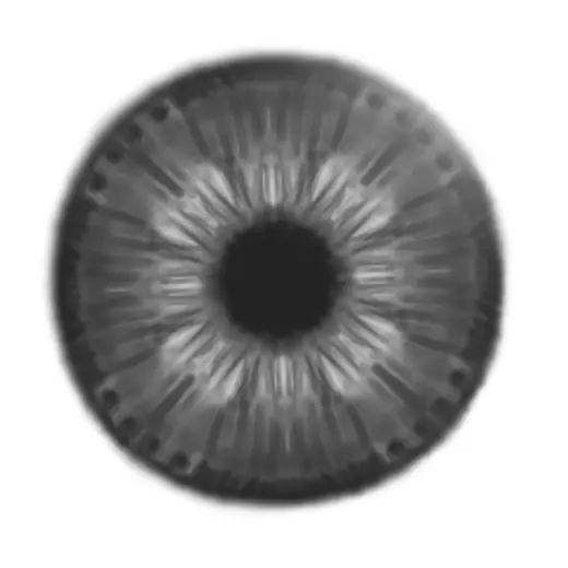 pupil — Clip Studio Paint brush