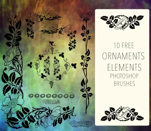 Ornament Floral Elements — Procreate, Photoshop & Krita brush