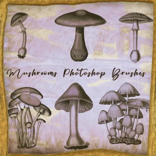 Mushrooms Treasures from the Forest — Procreate, Photoshop & Krita brush