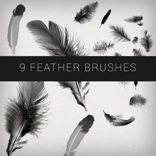 9 Feathers Brushes — Procreate, Photoshop & Krita brush