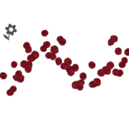 Keiel Rose Petals Red — Clip Studio Paint brush