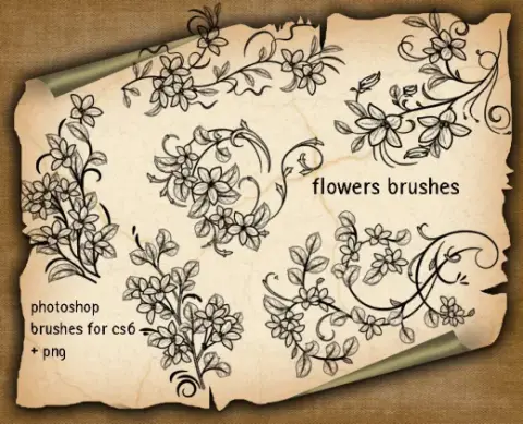 6 Floral Decorative Brushes — Procreate, Photoshop & Krita brush