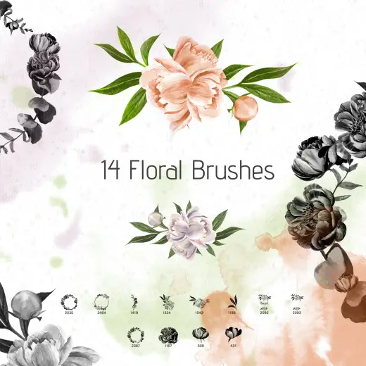 14 Peonies Brushes — Procreate, Photoshop & Krita brush