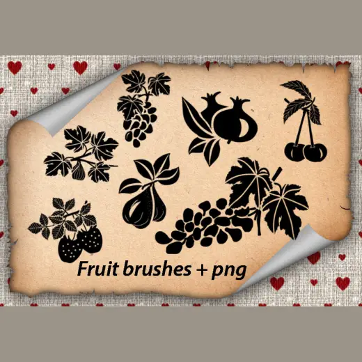 Fruits Brushes — Procreate, Photoshop & Krita brush