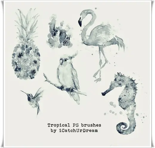 6 Watercolor Tropical Brushes — Procreate, Photoshop & Krita brush