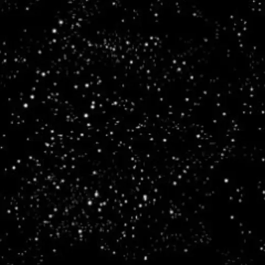 Brush for the night sky (stars) — Clip Studio Paint brush