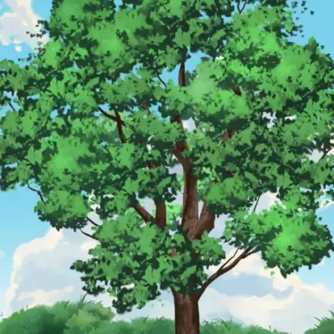 【CLIP STUDIO PAINT EX】ANIME TREE BRUSH — Clip Studio Paint brush