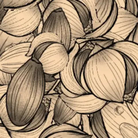 Poison fruit brush — Clip Studio Paint brush