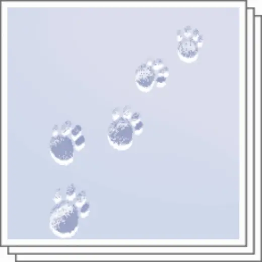 Animal footprint brush — Clip Studio Paint brush
