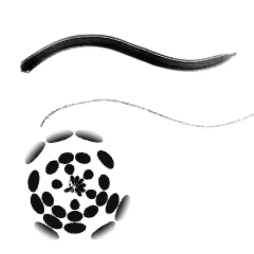 Creative Hoarse Brush 001 — Clip Studio Paint brush