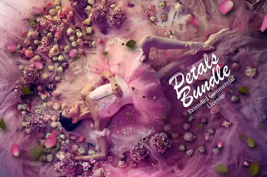 Petals and Leaves Bundle 🌸 FREE DOWNLOAD — Krita brush