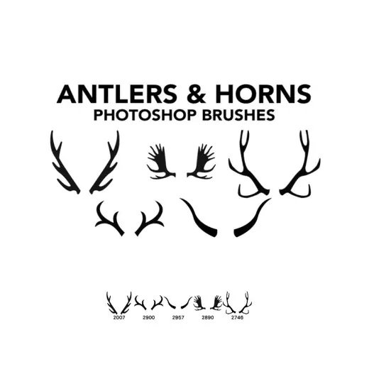 Antlers and Horns 5 Photoshop Brushes — Procreate, Photoshop & Krita brush