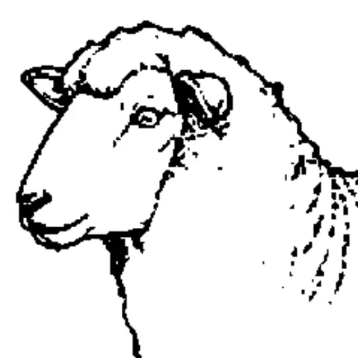 Real Sheep Brush — Clip Studio Paint brush