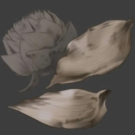 Lotus petal (กลีบดอกบัวเฉา) — Clip Studio Paint brush