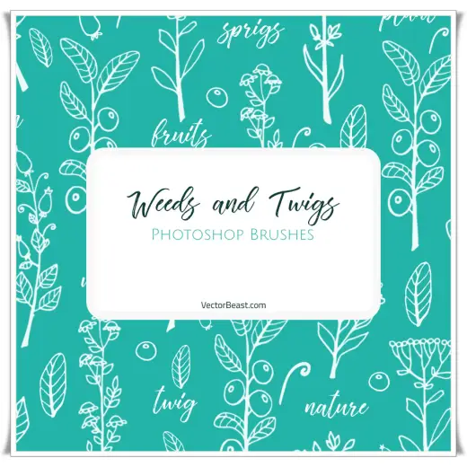 Weeds and Twigs Photoshop Brushes — Procreate, Photoshop & Krita brush