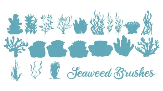 SEAWEED BRUSHES SET — Photoshop brush