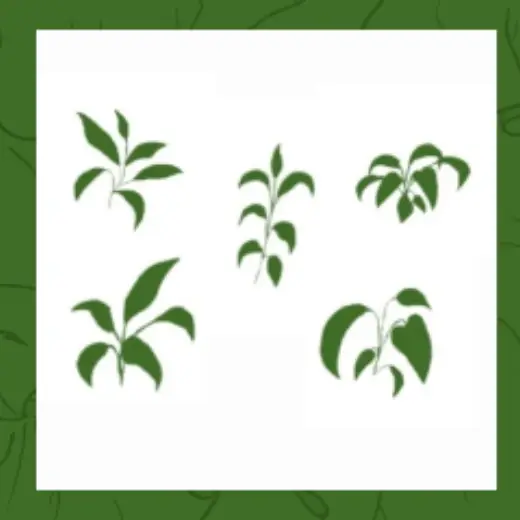 leaf making — Clip Studio Paint brush