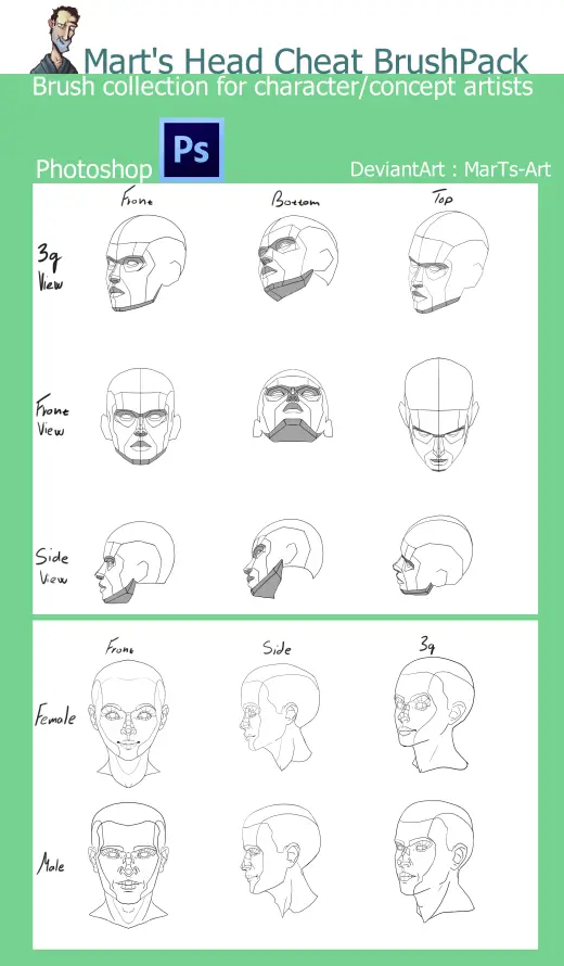 Photoshop Cheat Brush Pack : Heads — Photoshop & Krita brush