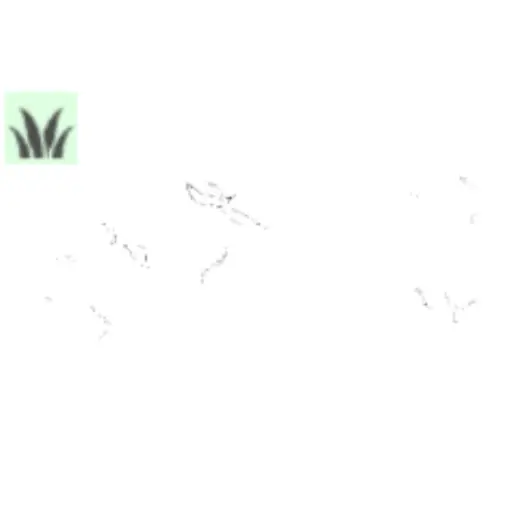 leaves fall brush — Clip Studio Paint brush