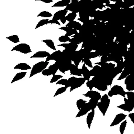 ︎Leaf silhouette︎Pine ⭐needle seal — Clip Studio Paint brush