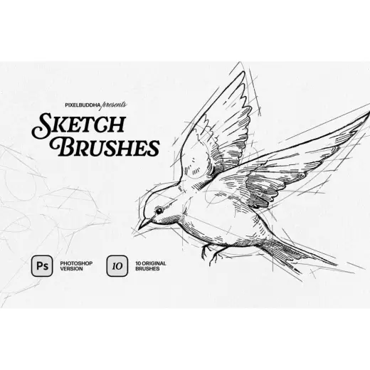 Sketcher Brushes｜Illustrator・Photoshop対応 スケッチ鉛筆ブラシ — Photoshop brush